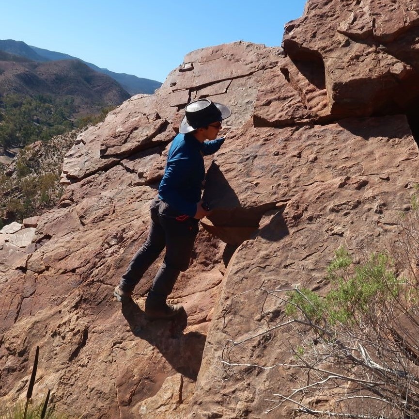 Geologist Alex Liu hunting for fossils in rocks in Australia