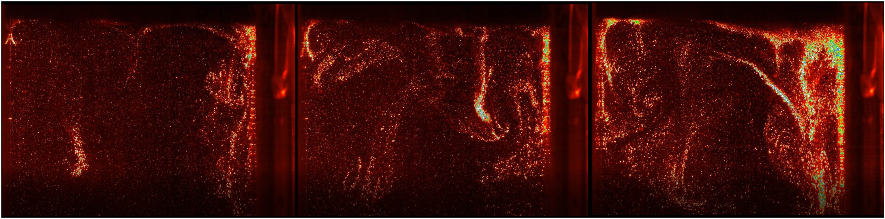 Three photos showing a tank experiment unfolding: crystals sequentially start to move in swirly patterns