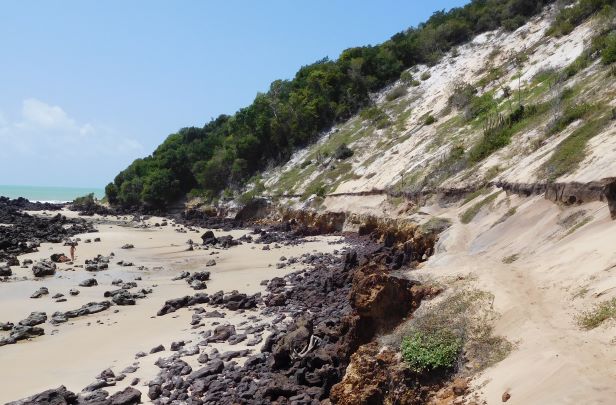 A raised beach deposit (dark horizon in the lower half of the cliff section) in the city of Natal, Brazil; image credit Marthe Klöcking.