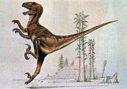 Deinonychus