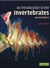 An introduction to the Invertebrates front cover