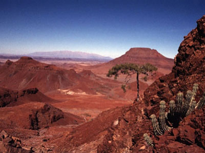 Etendeka flood basalts, NW Namibia