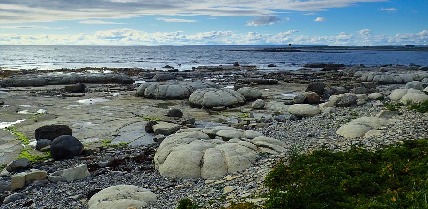 Photograph of Cambrian thrombolites, produced by the interaction of microbes with seabed sediment 500 million years ago, Newfoundland, Canada