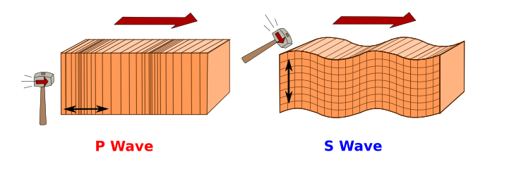 A schematic showing how P- and S-waves propagate through the Earth.