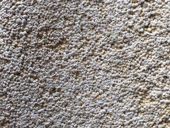 Cambridge's most common building stone in close up: Ketton limestone from Rutland. Ooid grains are about 1mm in diameter Close up of Cambridge's most common building stone. The Ketton limestone is made up of 1 mm perfectly spherical grains that look chalky.
