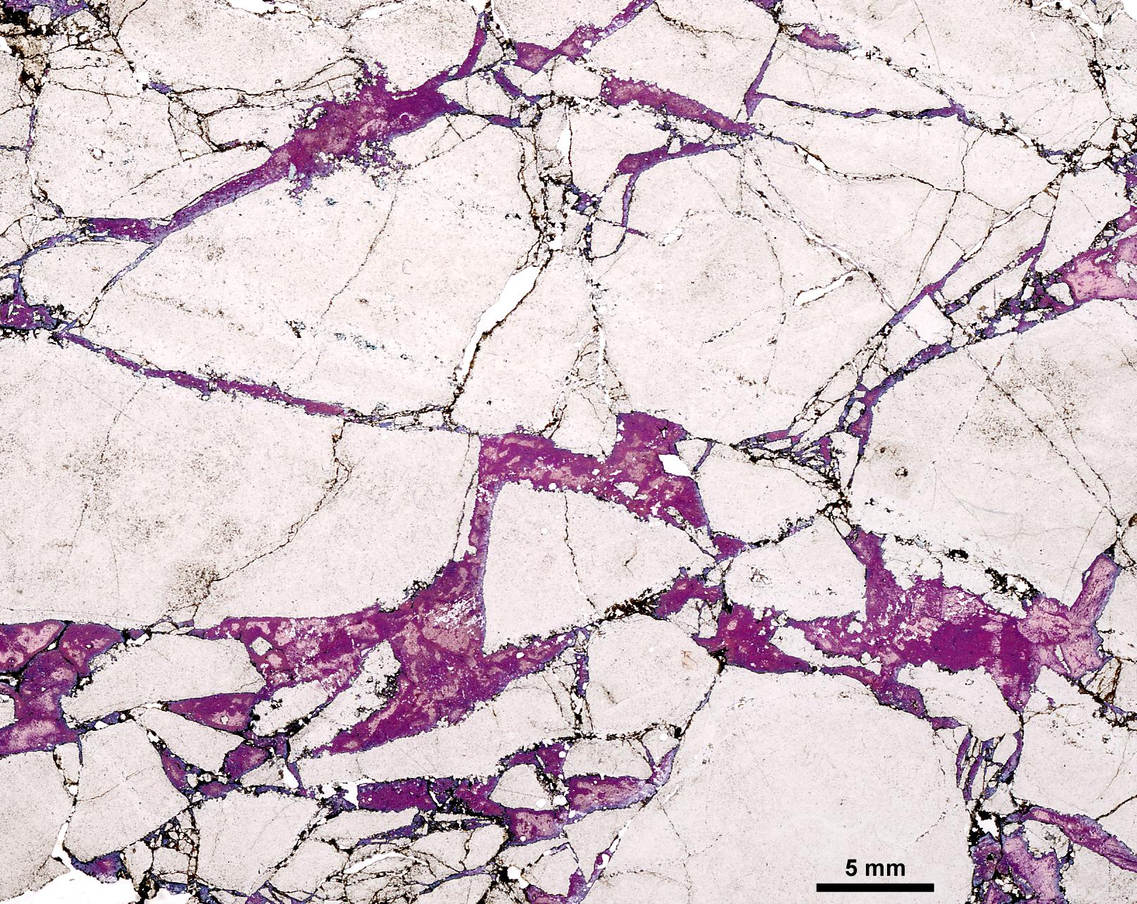 Fault breccia, thin section, Dent Fault, Cumbria Fault breccia, thin section, Dent Fault, Cumbria