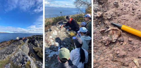 Three photos: on left, showing students sat on shoreline outcrop, in centre a lecturer showing a group of students and outcrop and on right a zoomed in view of a fossil