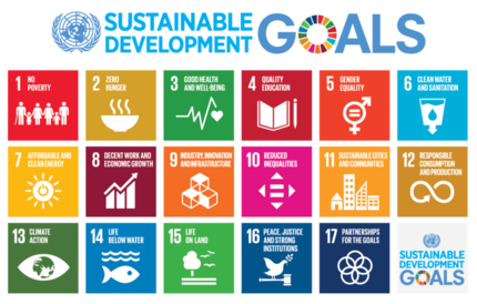 Illustration showing the 17 UN sustainable development goals