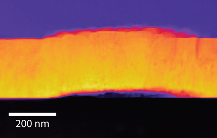 Scanning transmission electron microscopy (STEM) image of a cross section through the uranium dioxide film, showing buckling as it dissolves, image credit: Steven Spurgeon