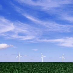 Photo of five wind turbines on the horizon