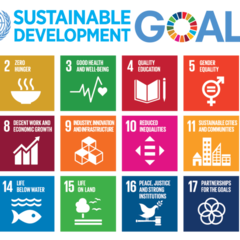 Illustration showing the 17 UN sustainable development goals