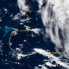 NASA Earth Observatory satellite image showing the pumice raft from the Havre submarine eruption of 2012