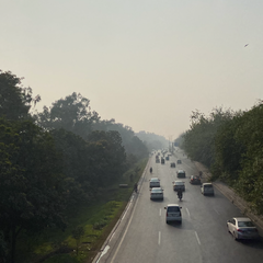 Image of a busy road in Lahore, surrounded on either side by trees and with a smoggy sky blocking out the sun