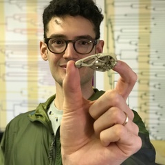 Prof. Daniel Field