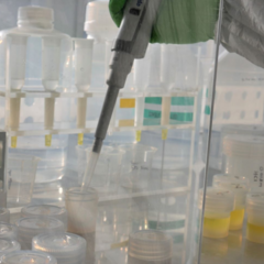 Close up of sample containers and pipette in fume cupboard