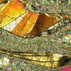 Microphotograph of mantle xenolith, showing large 'wavy' orthopyroxene which has been sheared. 