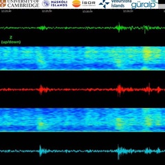 Live stream seismic data, showing three time series, at the top a green line and beneath red and blue lines. They have periodic wiggles showing seismic shaking.