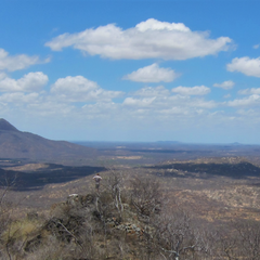 Looking towards Pico de Cabugi, the highest volcanic neck in the region; image credit Marthe Klöcking