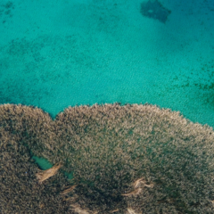 Aerial photo of Lake Ohrid Macedonia; image credit Shutterstock Ljupco Dzambazovski