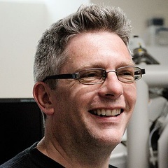 Professor Richard Harrison appointed Head of Department