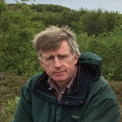 Professor Michael  Carpenter
