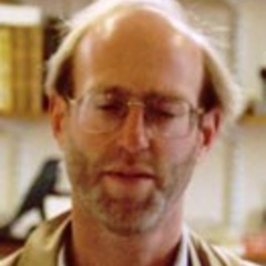 Professor Nicholas  Butterfield
