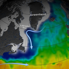Illustrations showing patterns of ocean circulation across the globe