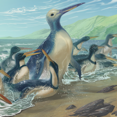 Illustration showing penguins an a beach