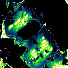 Image of recrystallized meteorite