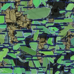 Microphotograph showing green envelopes drawn over plagioclase crystals