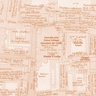 Close up image of the building stone survey of Cambridge, with different stone types annotated on the map