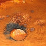 Image of rust brown water with bubbles rising 