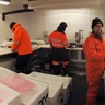 Image of Dorethea in the lab with two other scientists, they are wearing orange polar gear and sorting through ice cores