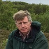 Professor Michael  Carpenter