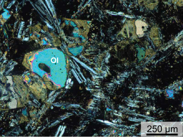 Microscope photo showing a rock in thin section. Blue rounded crystals are surrounded by smaller grey needle-shaped crystals and brown/black groundmass