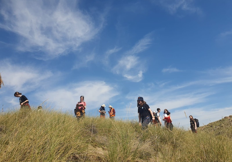Photo showing a group of students walking in grass with blue sky behind