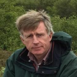 Professor Michael  A. Carpenter