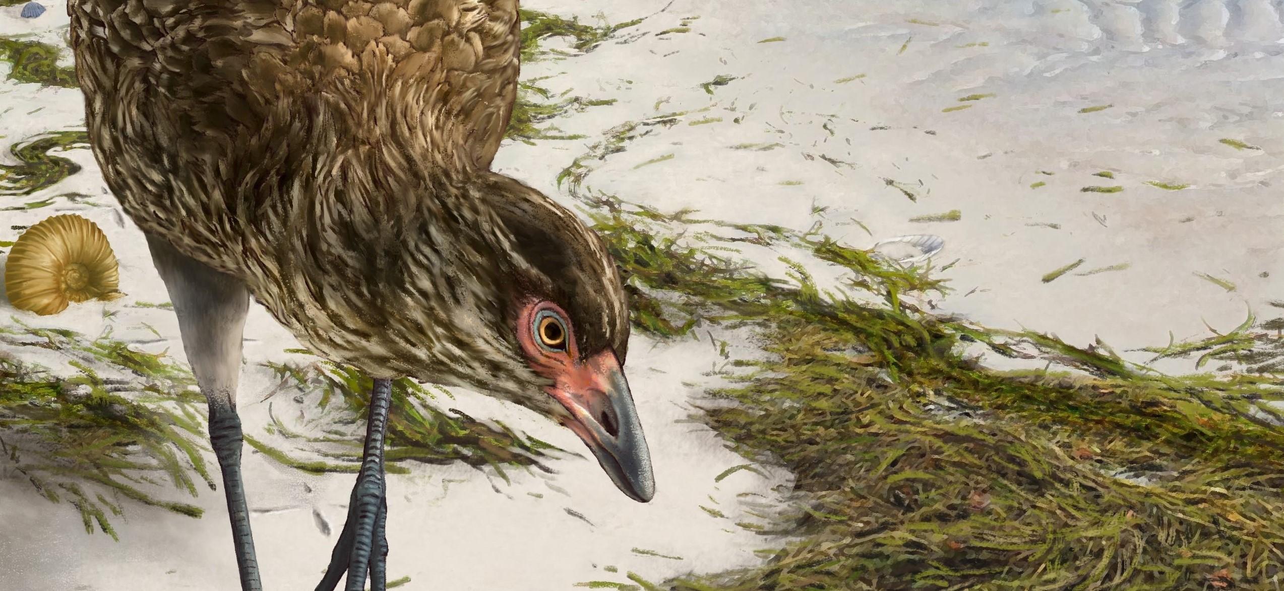 Artist's impression of the Wonderchicken