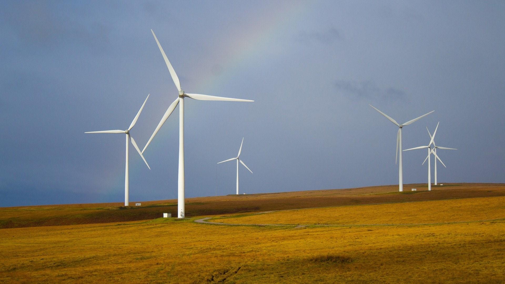 Image of a wind farm