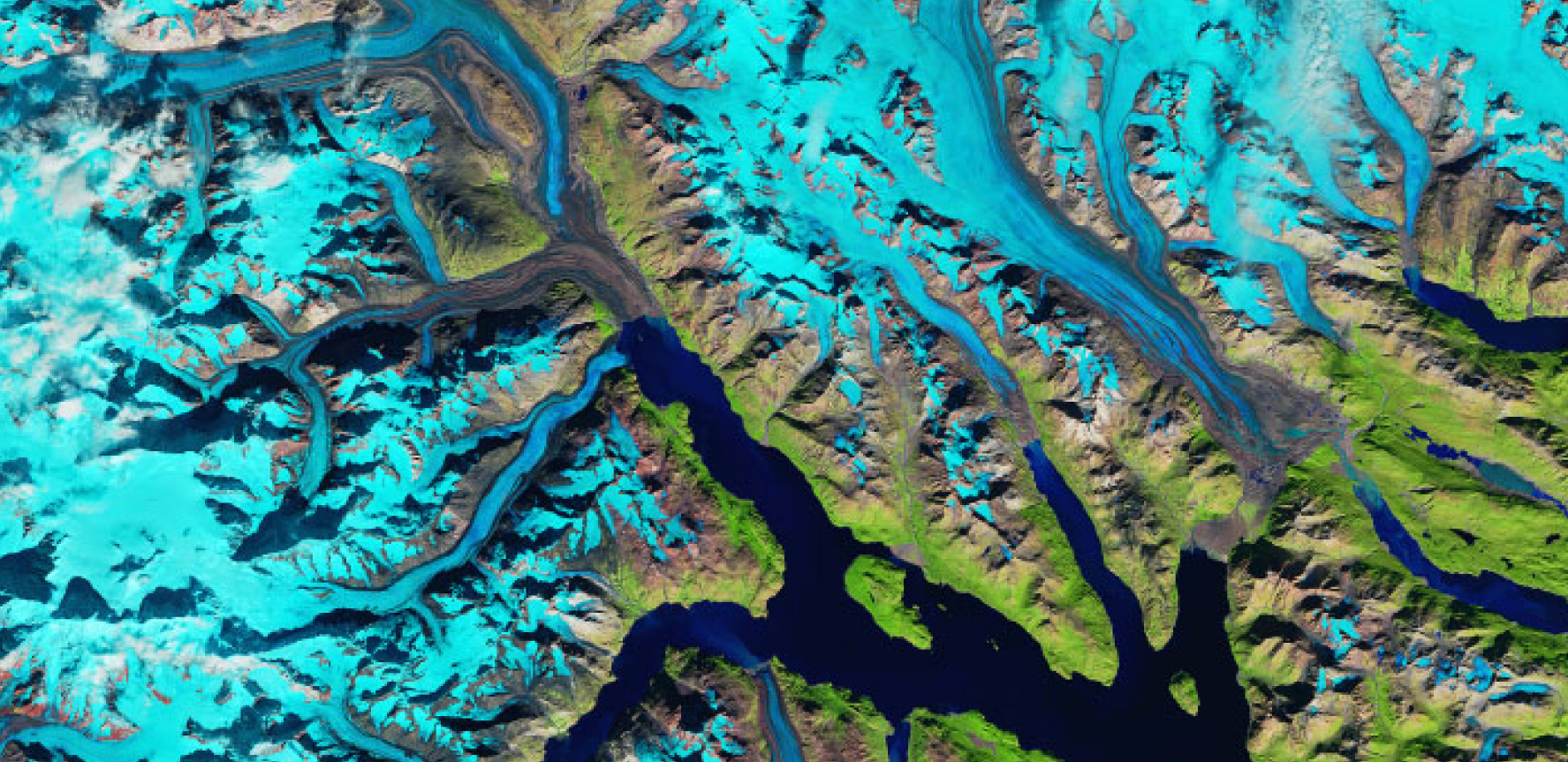 Tidewater glaciers, Glacier Bay, Alaska, credit NASA Earth Observatory False colour satellite image of tidewater glaciers picked out in bright blue, flowing into Glacier Bay Alaska