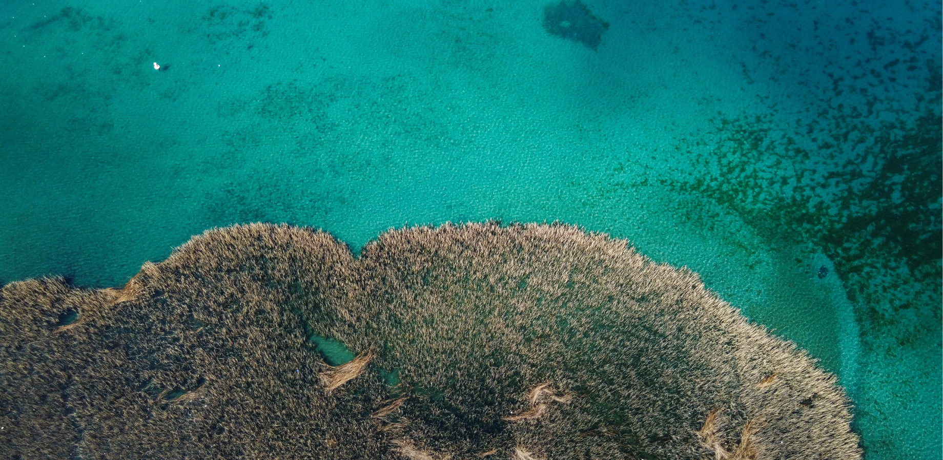 Aerial photo of Lake Ohrid Macedonia; image credit Shutterstock Ljupco Dzambazovski