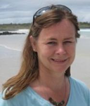 Prof Sally A. Gibson's picture
