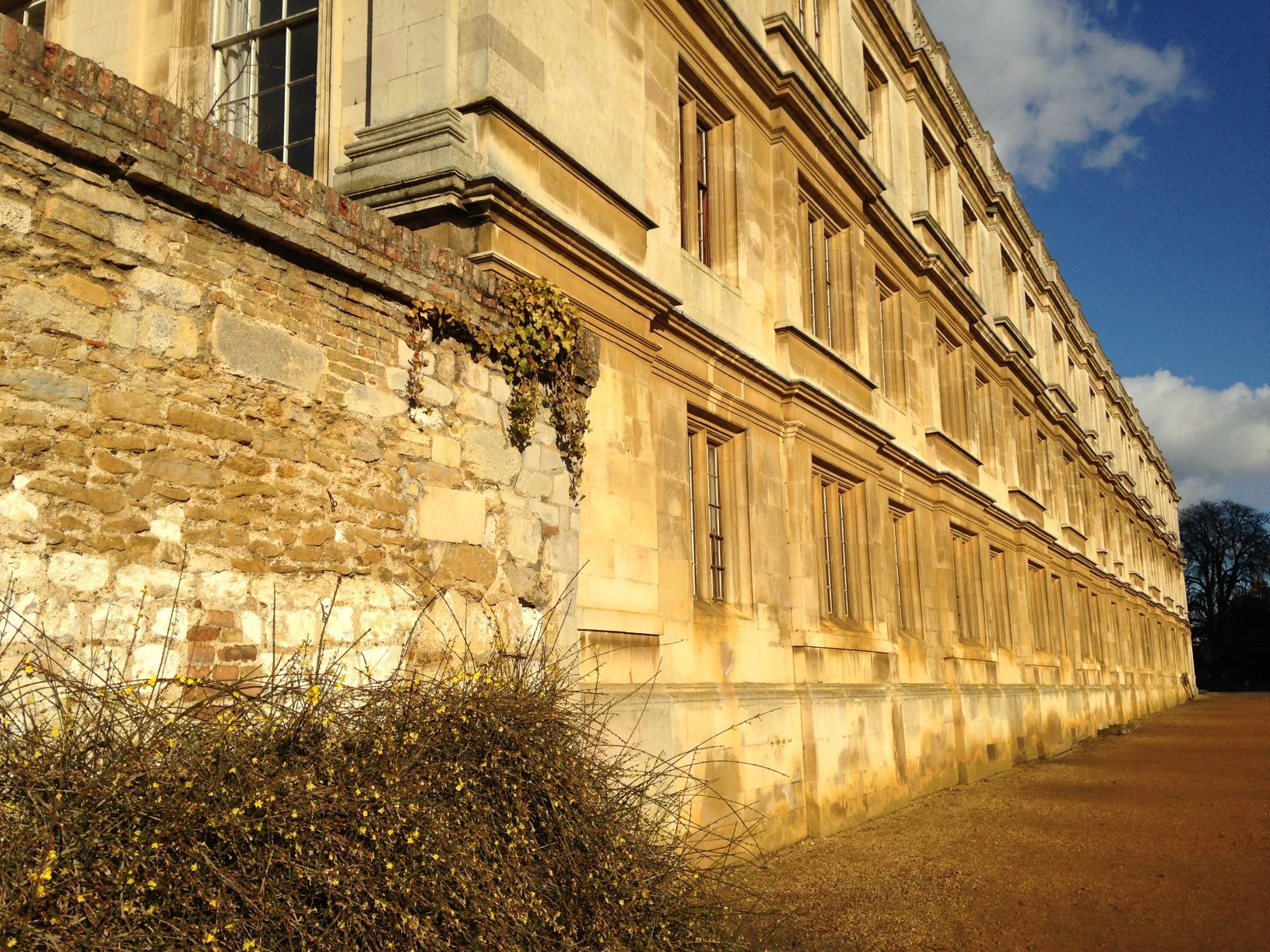 Image of Clare College Old Court bathed in afternoon sunlight, the Ketton limestone building stones are yellowy-beige