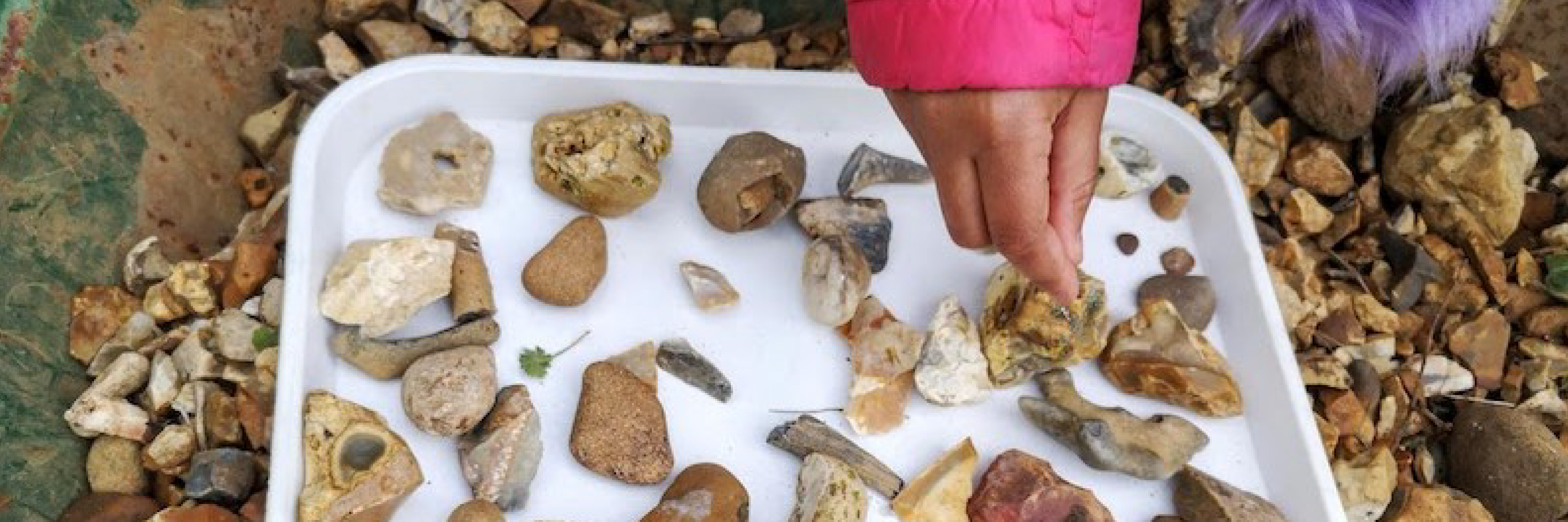 Image of a childs hand sorting through a tray of gravel, looking for fossils