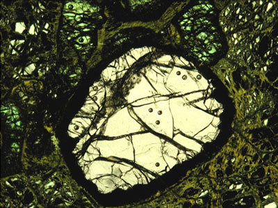 LA-ICP-MS craters in garnet and Cr-diopside in a garnet lherzolite from the Kaapvaal craton. Each crater has a diameter of ~80 microns.