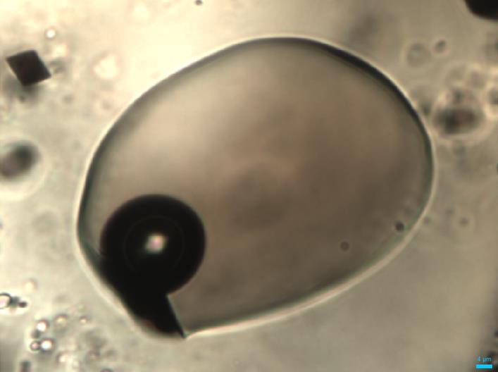 Close up of a melt inclusion with the black, circular vapour bubble