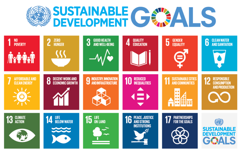 Illustration showing the 17 UN sustainable development goals