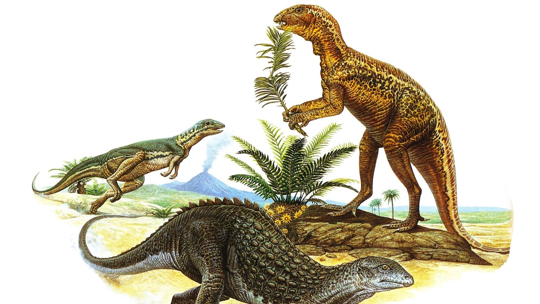 Illustration of three  dinosaurs with volcano erupting in background
