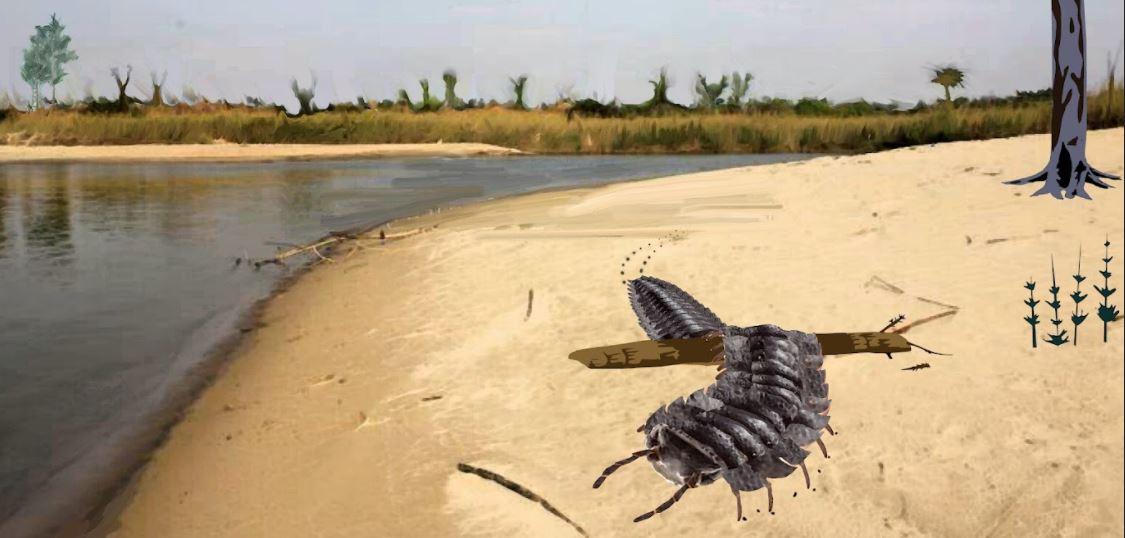 Artists impression of the millipede on a beach