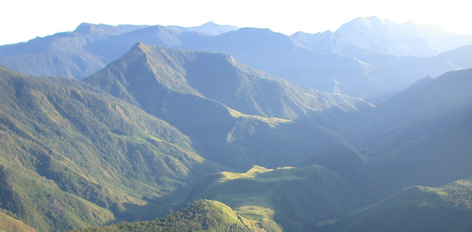 Photo showing green highlands of New Guinea